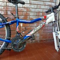 bici usata 