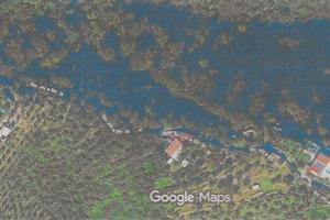 Terreno boschivo a taggia