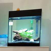 Acquario Nero Askoll 44L