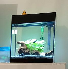 Acquario Nero Askoll 44L