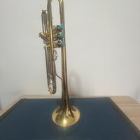 Tromba B&S challenger 3137