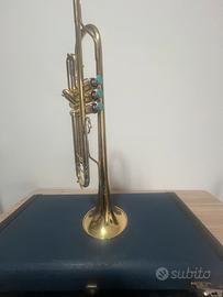 Tromba B&S challenger 3137