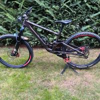 Specialized enduro expert