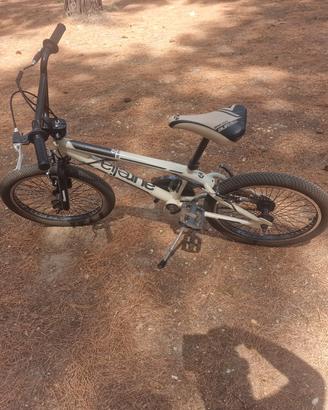 Bmx Aurelia
