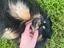 Immagine 6