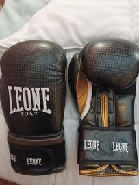 Guantoni della Leone.