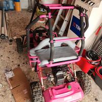 AJP Altro modello - 2018