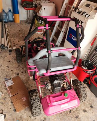 AJP Altro modello - 2018