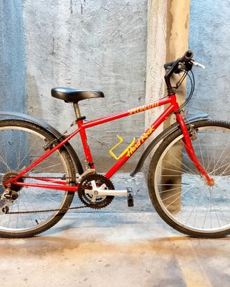 MTB "SPECIALIZED Hard Rock" da collezione 