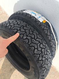 pneumatico Pirelli Winter 