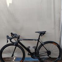 Bici focus un carbonio