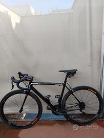 Bici focus un carbonio