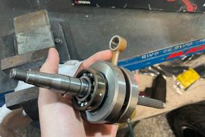 Albero athena mina. Orizzontale