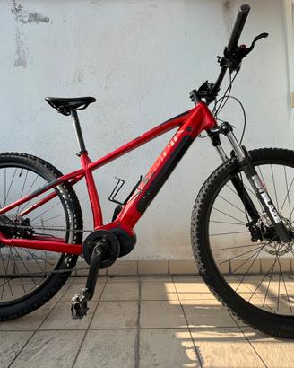 E-Bike Olympia Master 630