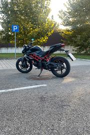 BENELLI BN 125 anno 2024