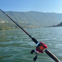 Canna da pesca casting