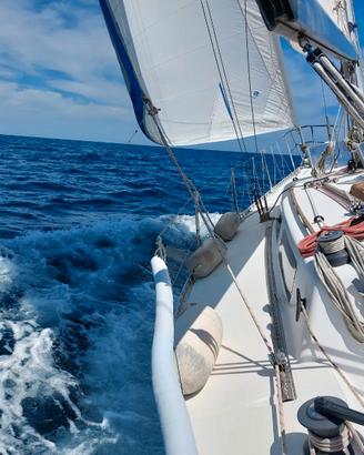 BARCA A VELA -SOLEADA 34 - PREZZO TRATTABILE