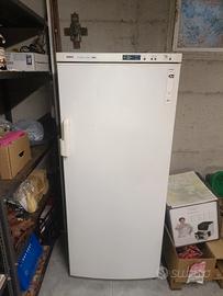 frezzer Bosch classe a+