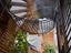 Immagine 29