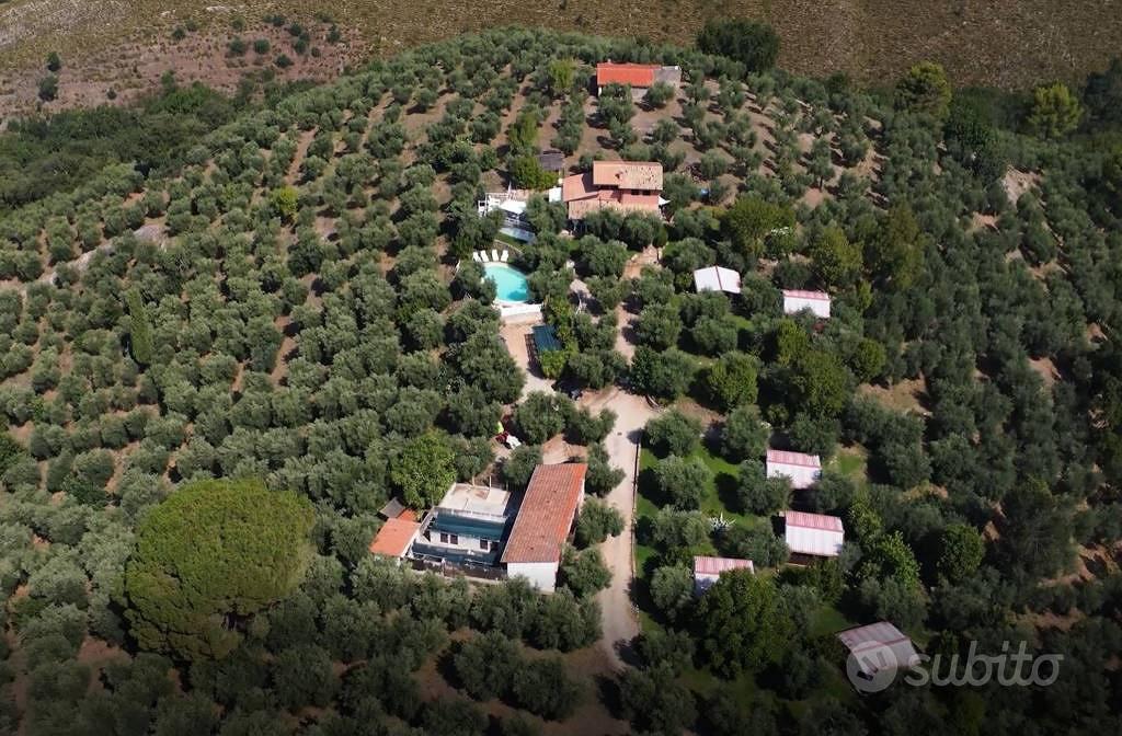 Rustico / Casale di 545 m² con più di 5 locali e b - Vista 5
