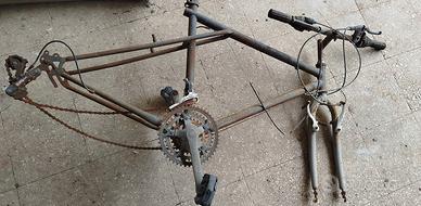 Mountain-bike  Legnano  telaio