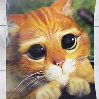 Poster Shrek 2 - Gatto con gli stivali