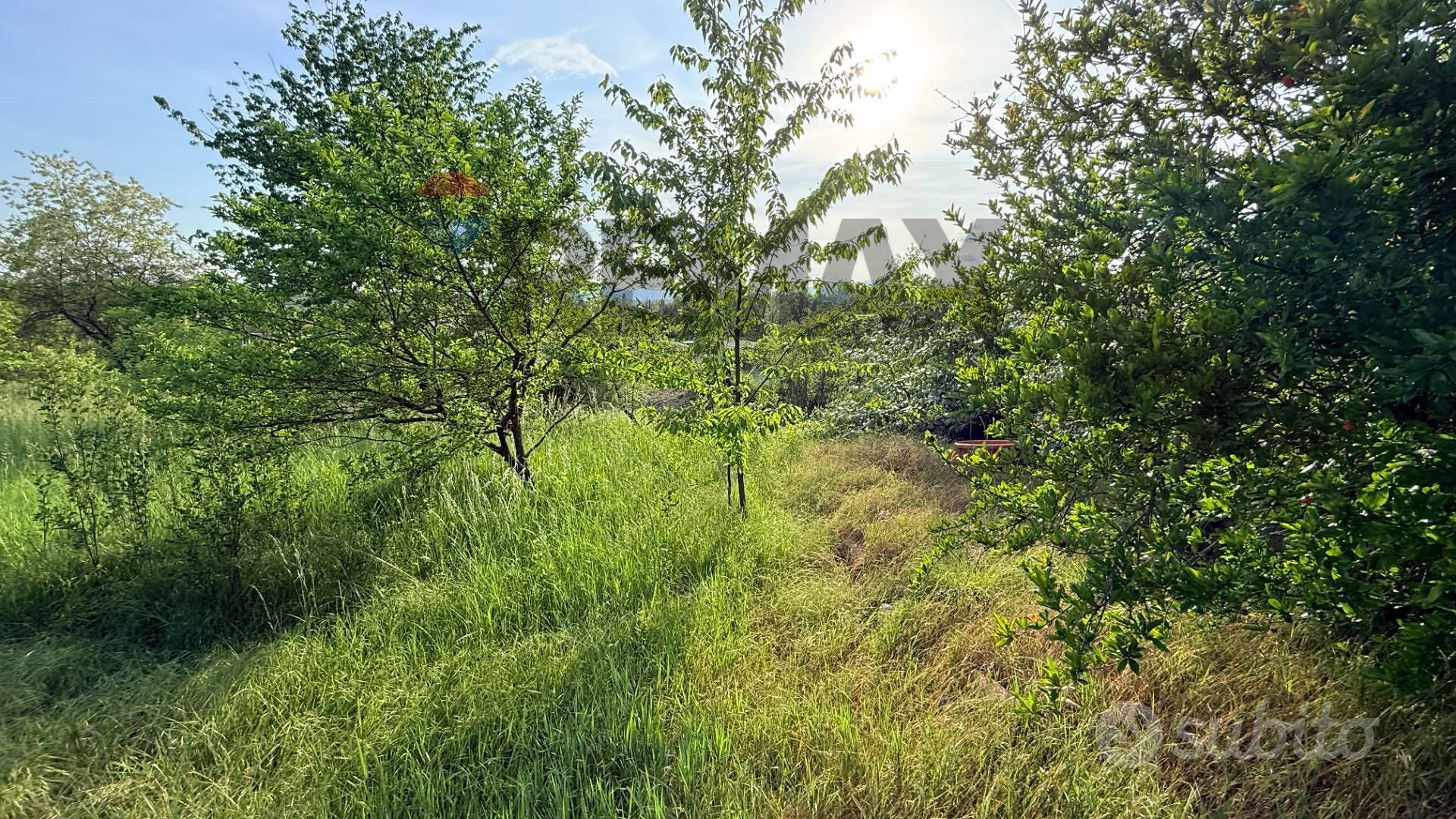 Terreno - Sangiano - Vista 6