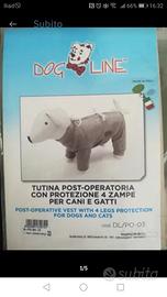 Tutina postoperatoria cane e gatto