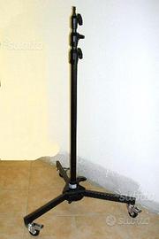 Asta professionale solida e robusta