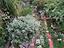 Immagine 24
