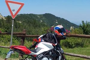brutale 800 