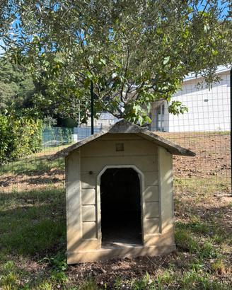 Cuccia per cane