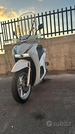 Honda sh 350