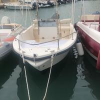 RIBASSO: Barca motore Mariner 40-60