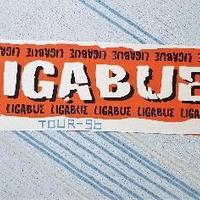 Sciarpa concerto ligabue
