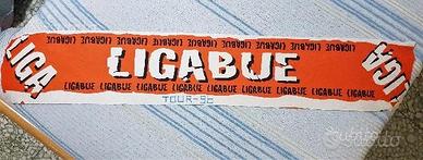 Sciarpa concerto ligabue