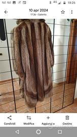 cappotto di marmotta