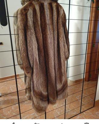 cappotto di marmotta
