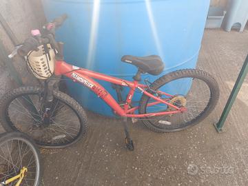 Mountain bike