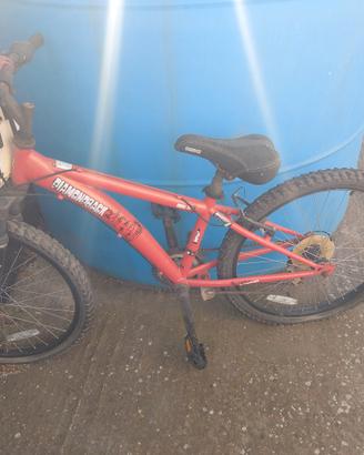 Mountain bike