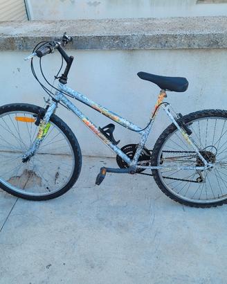 Mountain Bike Vintage