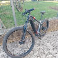 Bicicletta elettrica