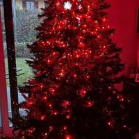 Luci led per albero di Natale