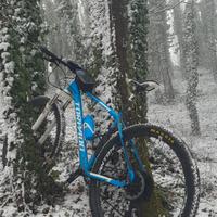 Bici MTB Torpado Ribot A L