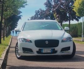 JAGUAR XF 2ª serie (X260) - 2016