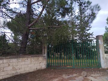 Terreno - Caltagirone