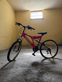 bicicletta