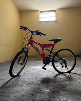 bicicletta