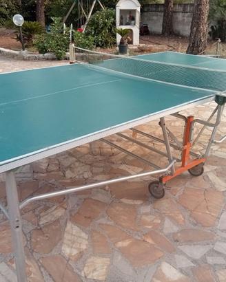 Tavolo da ping-pong