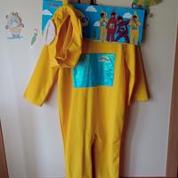 Costume di carnevale